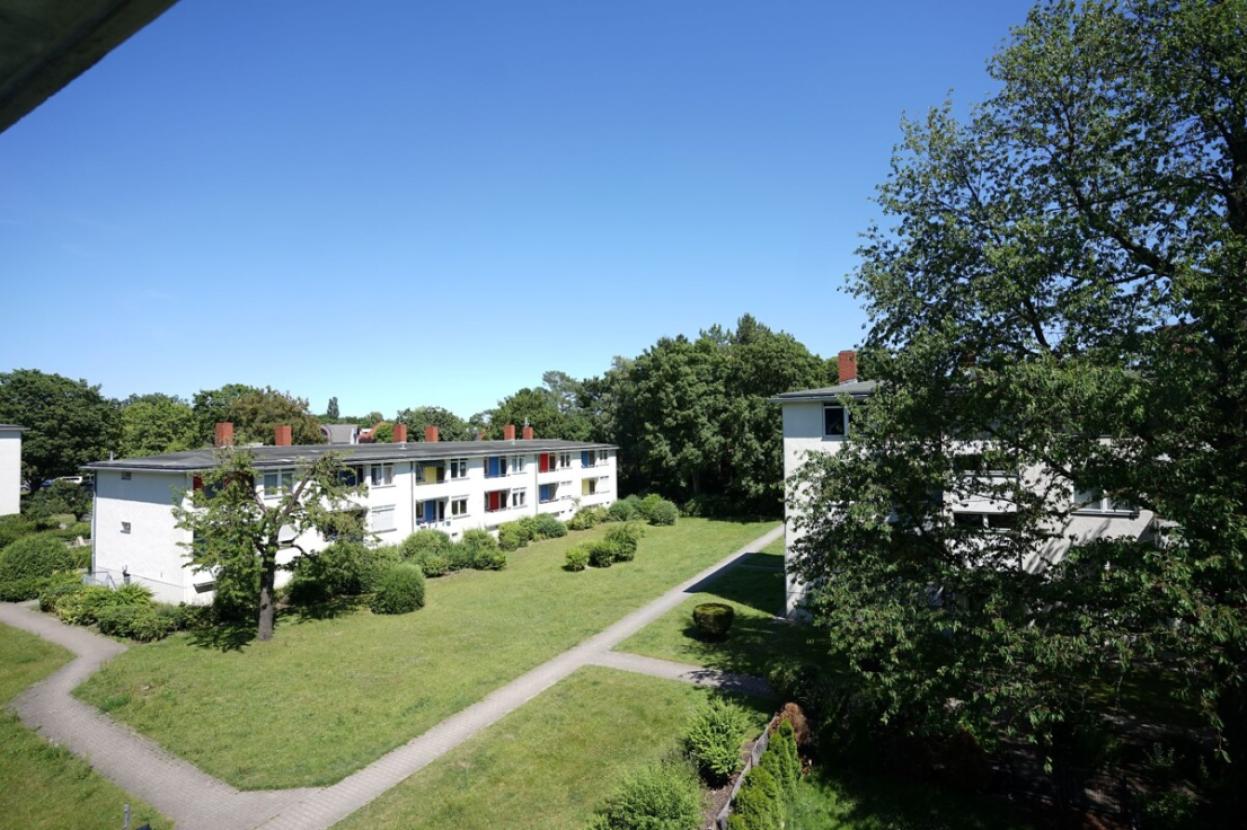 Blick in den Garten 