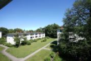 Blick in den Garten 