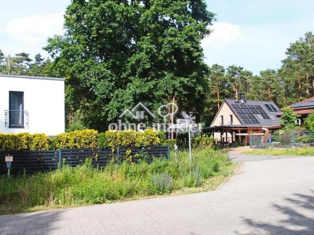 freundliches Umfeld