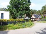 freundliches Umfeld