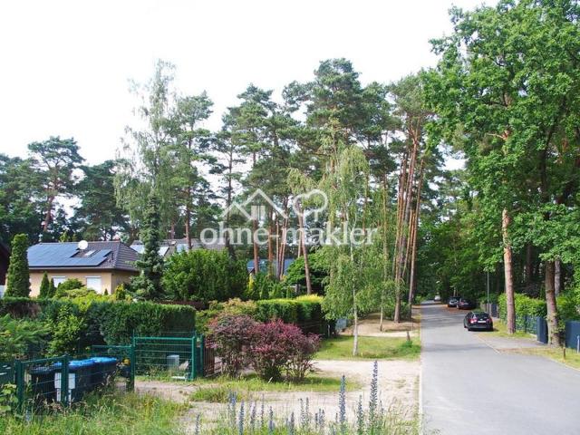 unmittelbares Umfeld