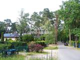 unmittelbares Umfeld