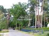 unmittelbares Umfeld