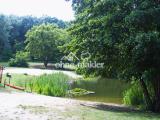 Kiessee