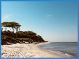 Weststrand
