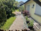 Eingangsbereich Garten