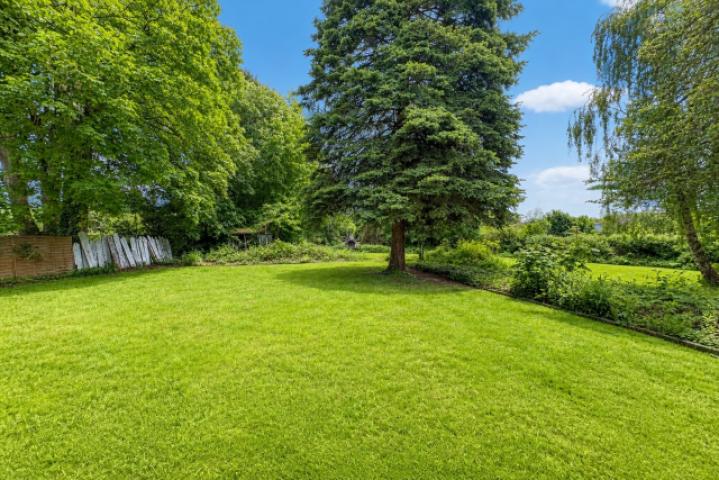 Gartenfläche