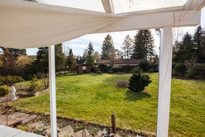 Blick in den Garten