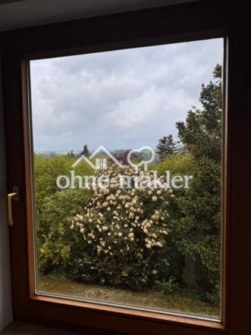 Fenster mit Aussicht DG