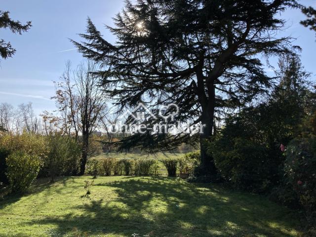 Garten zum Main