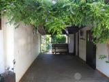 Weg zum Garten