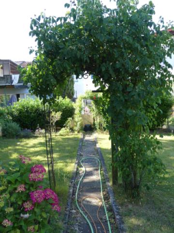 Detailansicht Garten