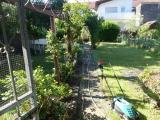 Detailansicht Garten