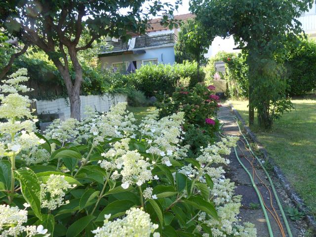 Detailansicht Garten