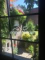 Blick in den Garten