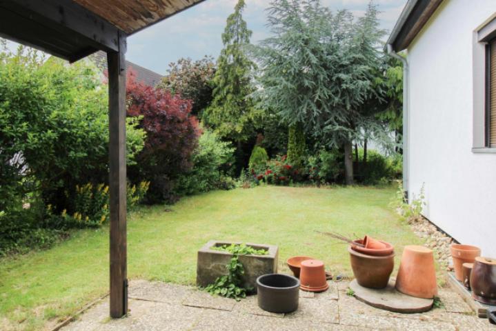Blick in den Garten