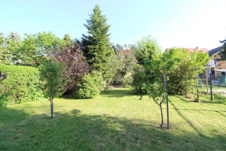 Grundstück (1)
