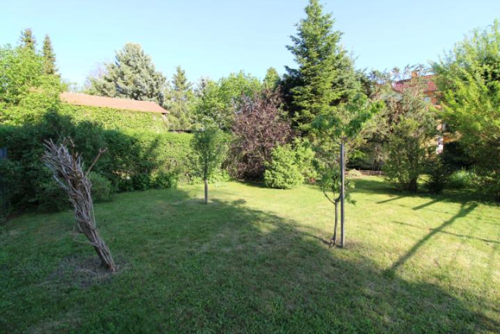 Grundstück (3)