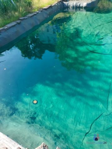 Schwimmteich
