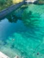 Schwimmteich