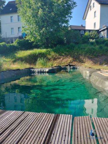 Schwimmteich 