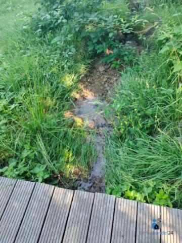 Bachlauf auf dem Grundstück