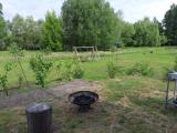 Blick in den Garten