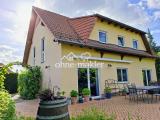 Gartenseite mit Terrasse