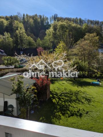 Blick von Terrasse in Garten