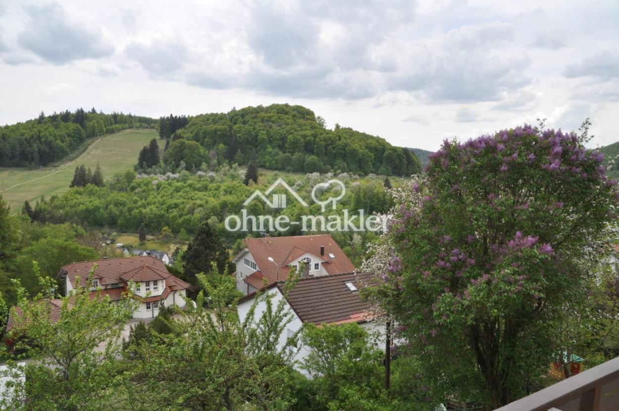 Aussicht vom Balkon