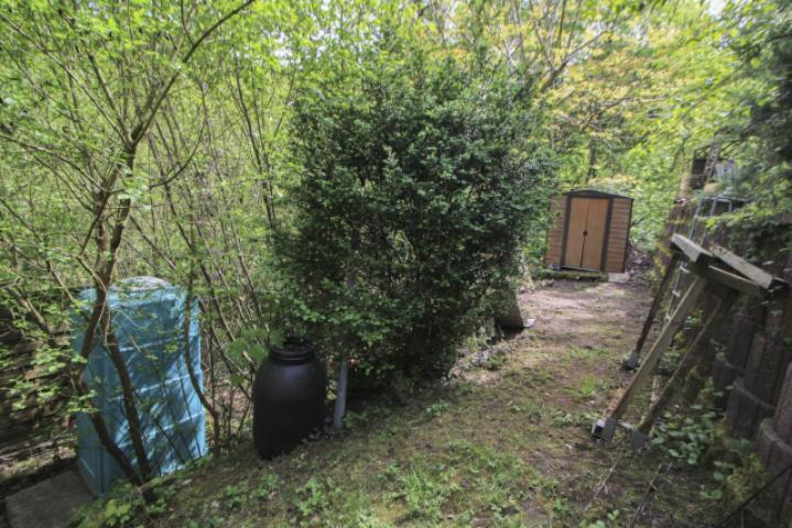 Garten 2