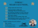 Interesse_Ablauf Portale