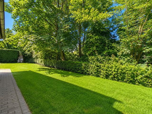 Gemeinschaftsgarten