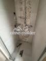 Dusche EG