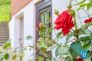 Blumenvielfalt