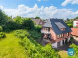 Blick aus dem Garten