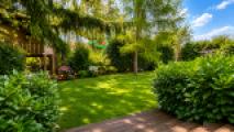 Garten Rückseite