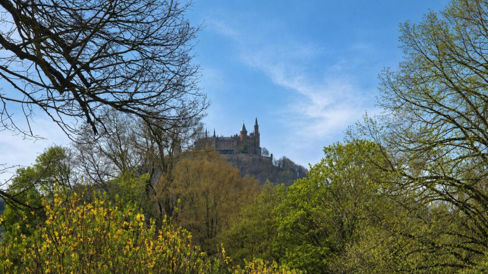 Blick auf d. Burg Hohenzollern