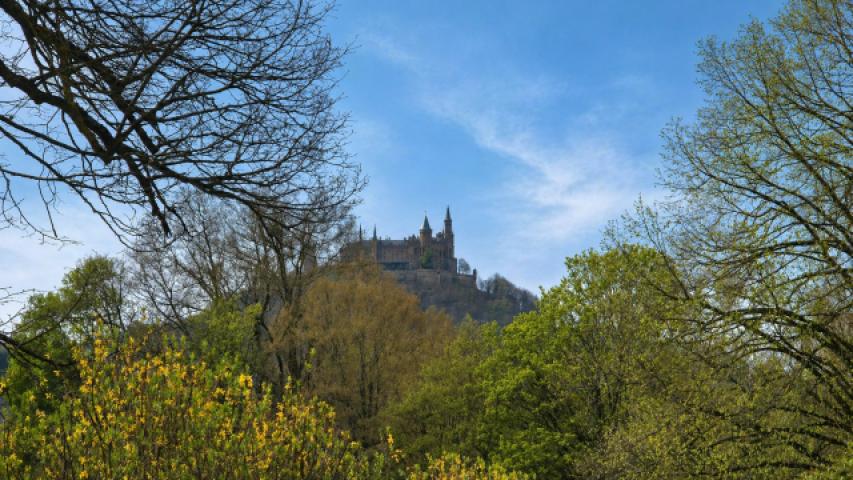 Blick auf d. Burg Hohenzollern