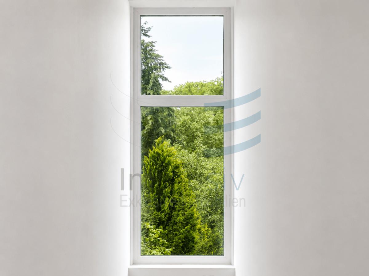 Fenster