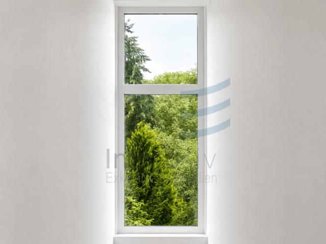 Fenster