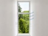 Fenster