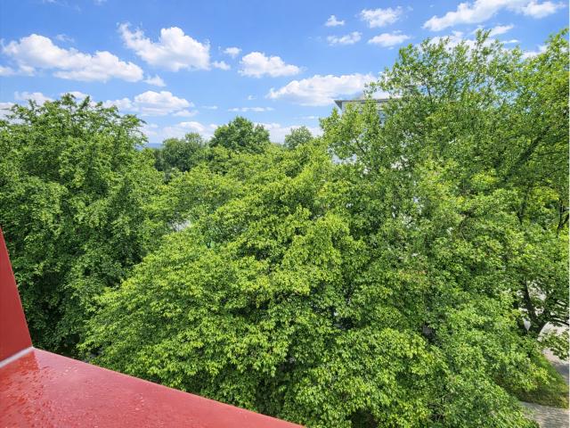 Blick vom Balkon ins Grüne