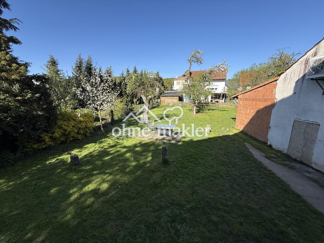 Blick in den Garten
