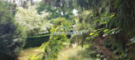 Gartenbereich neben Terrasse