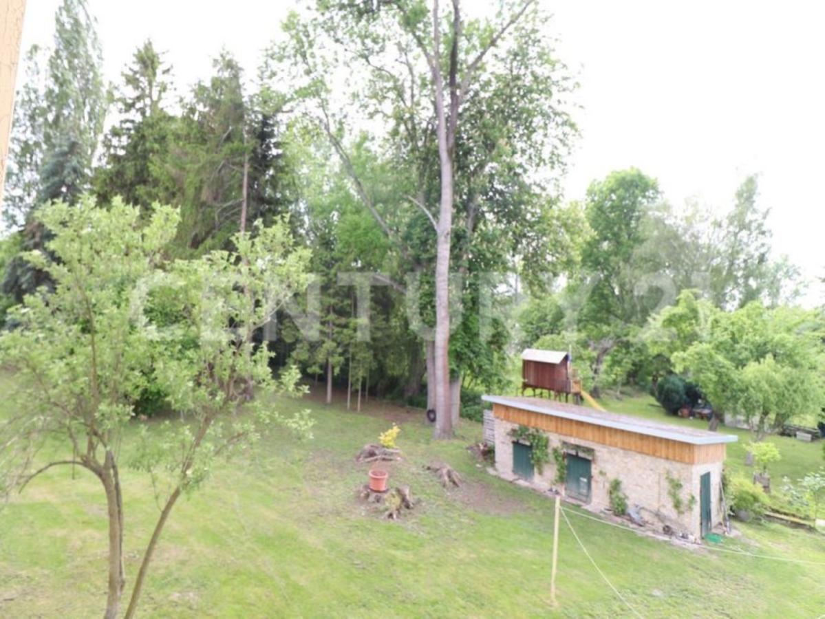 Blick in den Garten 