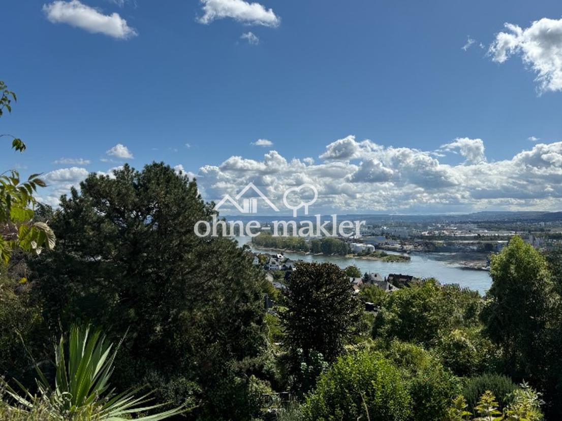 Ihr Rheinblick 1