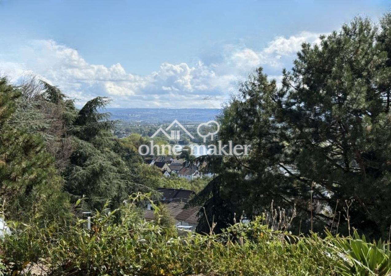 Ihr Rheinblick 2