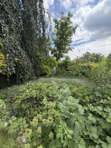 Natur pur