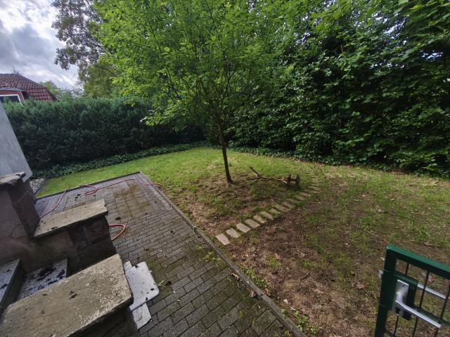 Garten 1